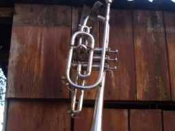 K08